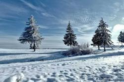 英雄聯(lián)盟全(quán)球总決(jué)赛冠亞(yà)军決(jué)赛四川打响