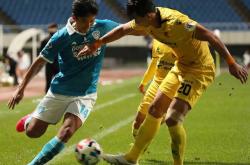 强强对話(huà)藏(cáng)争冠密码