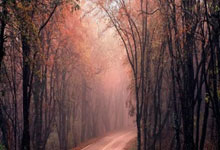 斯诺克英(yīng)锦赛资格赛：中(zhōng)國(guó)军团3人(rén)晋级第三轮