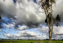 甯(níng)波网球公(gōng)开赛单打正(zhèng)赛入(rù)圍(wéi)名单公(gōng)布