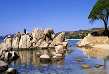 陕西116名選(xuǎn)手(shǒu)出征全國(guó)职业技能大(dà)赛