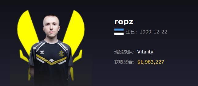 Vitality（小蜜蜂）战队2025最新成员资料、详细介绍