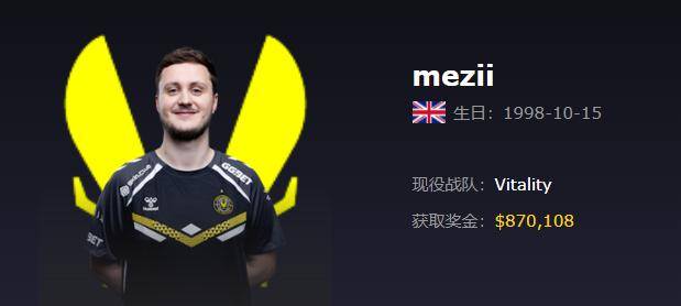 Vitality（小蜜蜂）战队2025最新成员资料、详细介绍